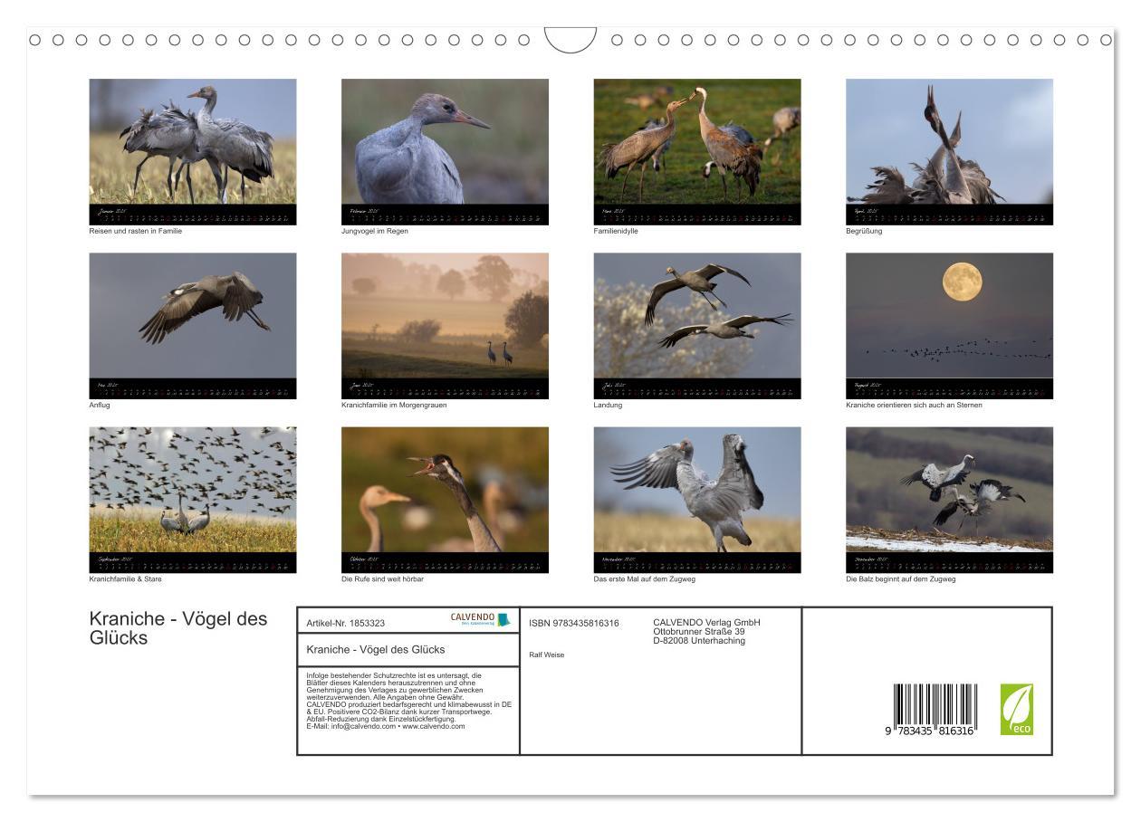 Bild: 9783435816316 | Kraniche - Vögel des Glücks (Wandkalender 2025 DIN A3 quer),...