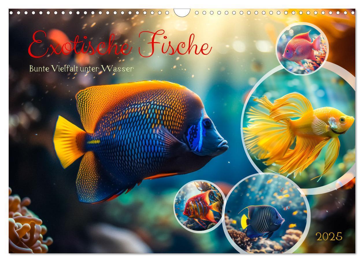 Cover: 9783383784378 | Exotische Fische (Wandkalender 2025 DIN A3 quer), CALVENDO...