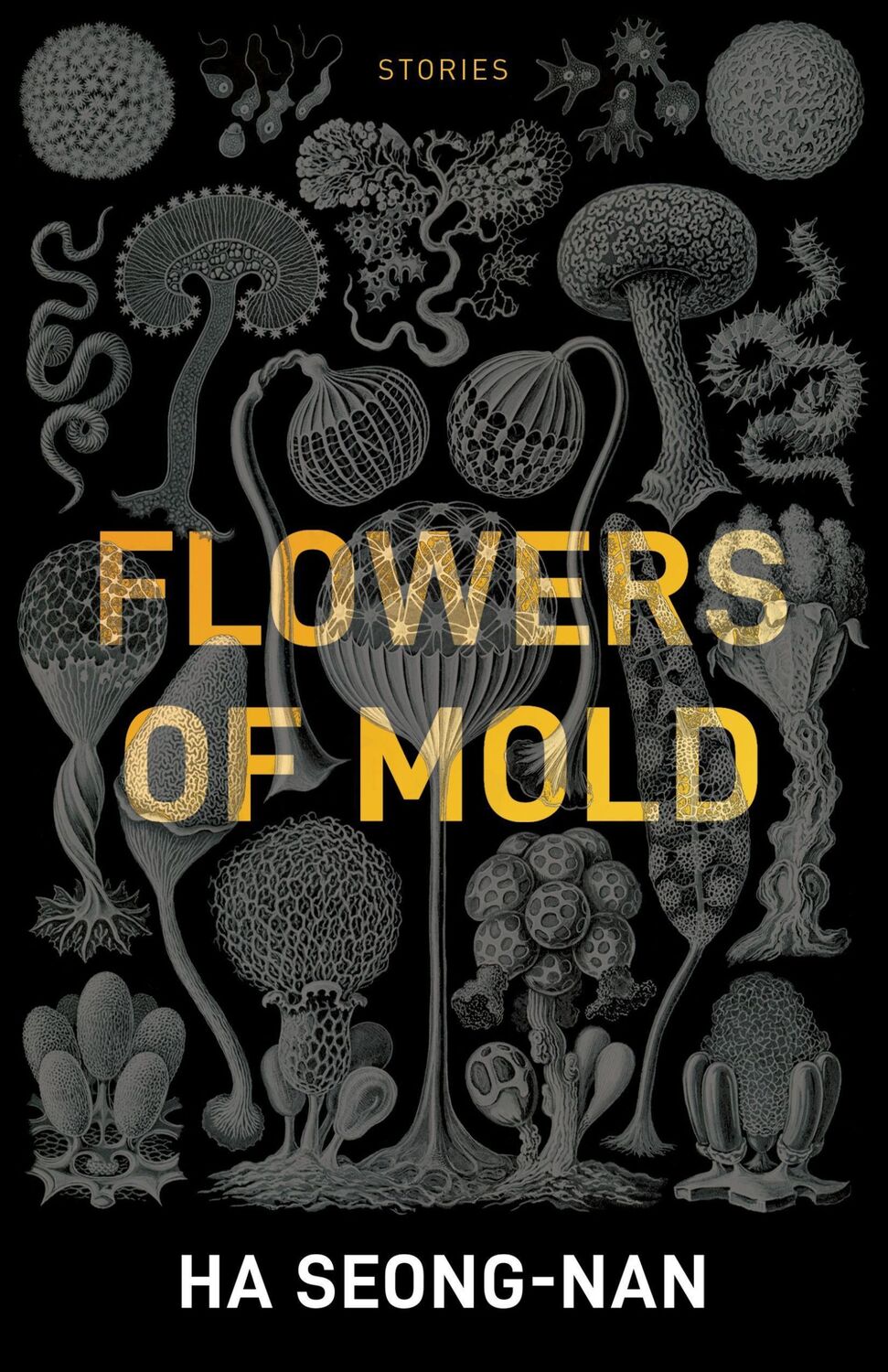 Cover: 9781940953960 | Flowers of Mold &amp; Other Stories | Seong-Nan Ha | Taschenbuch | 2019