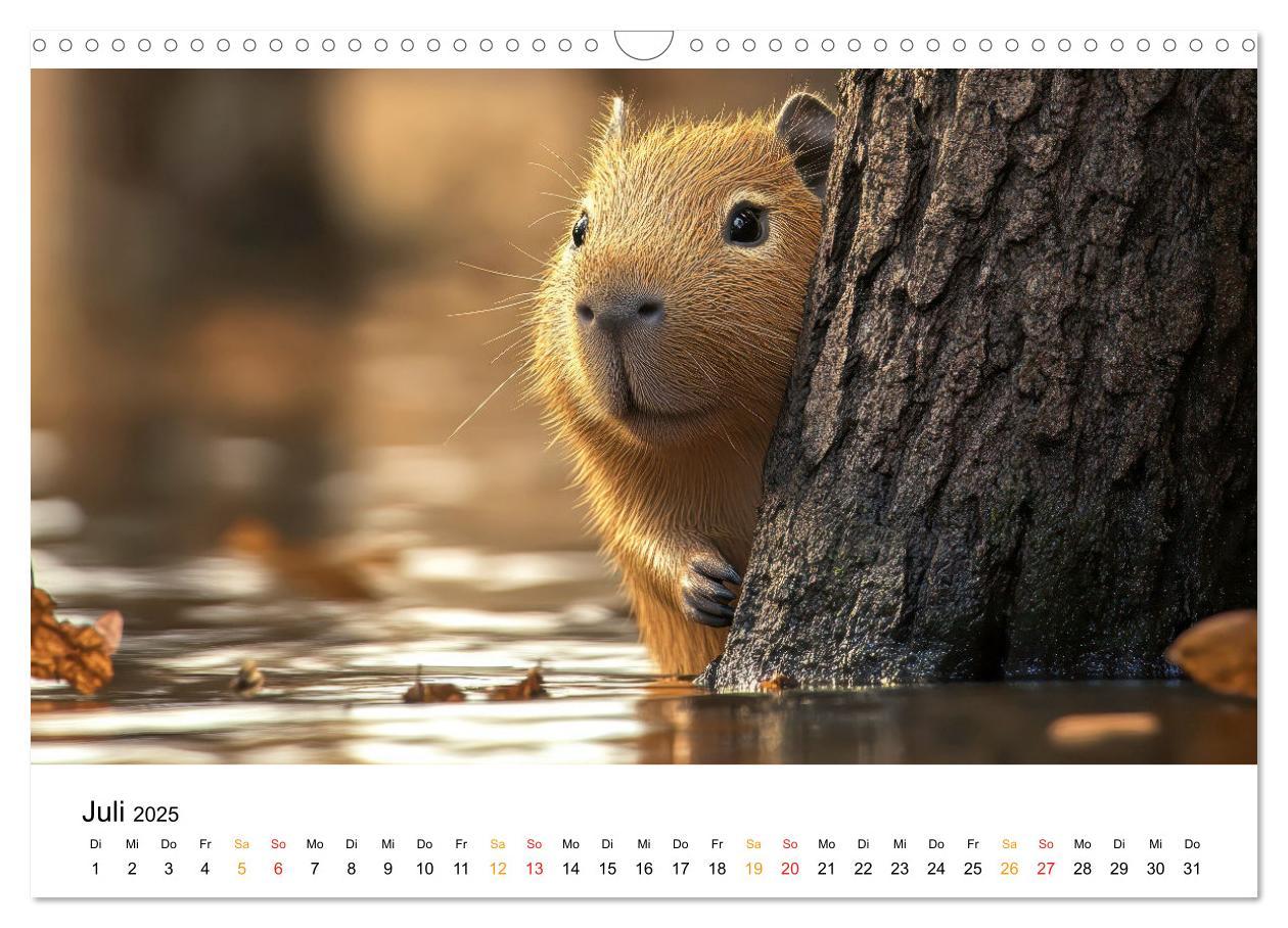 Bild: 9783457244593 | Capybara - liebenswertes großes Wasserschwein (Wandkalender 2025...