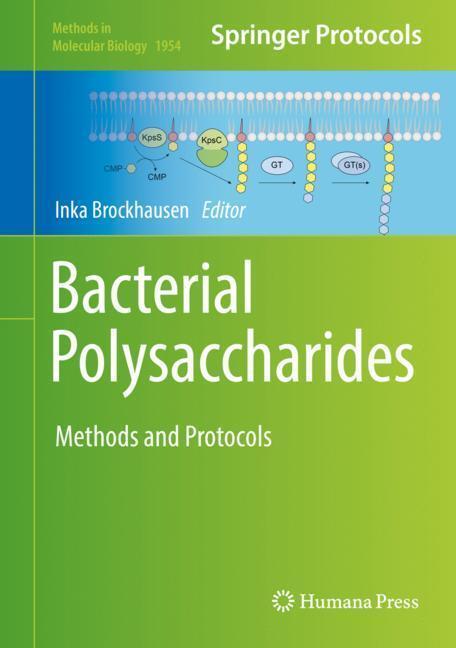 Cover: 9781493991532 | Bacterial Polysaccharides | Methods and Protocols | Inka Brockhausen