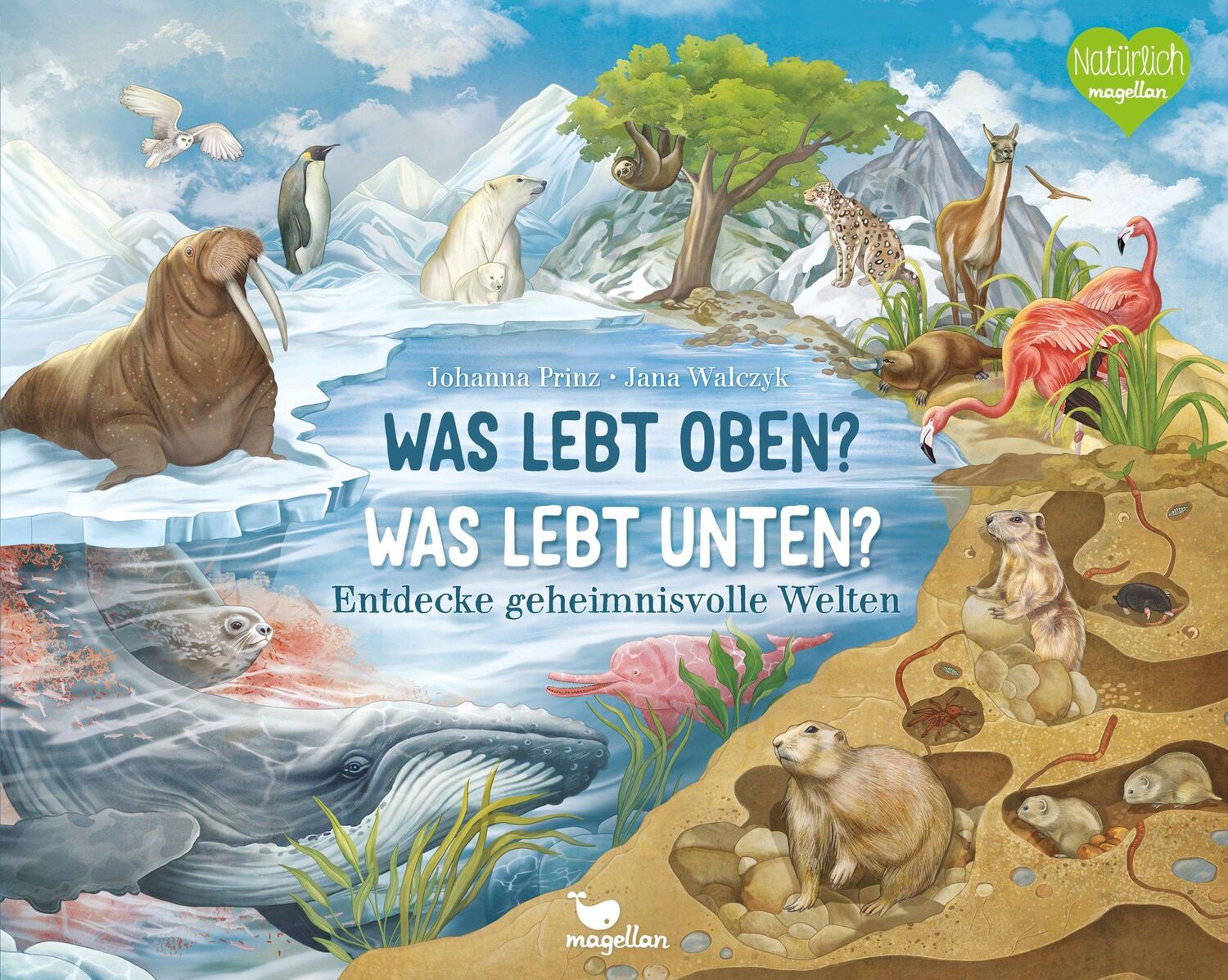 Cover: 9783734860140 | Was lebt oben? Was lebt unten? | Entdecke geheimnisvolle Welten | Buch