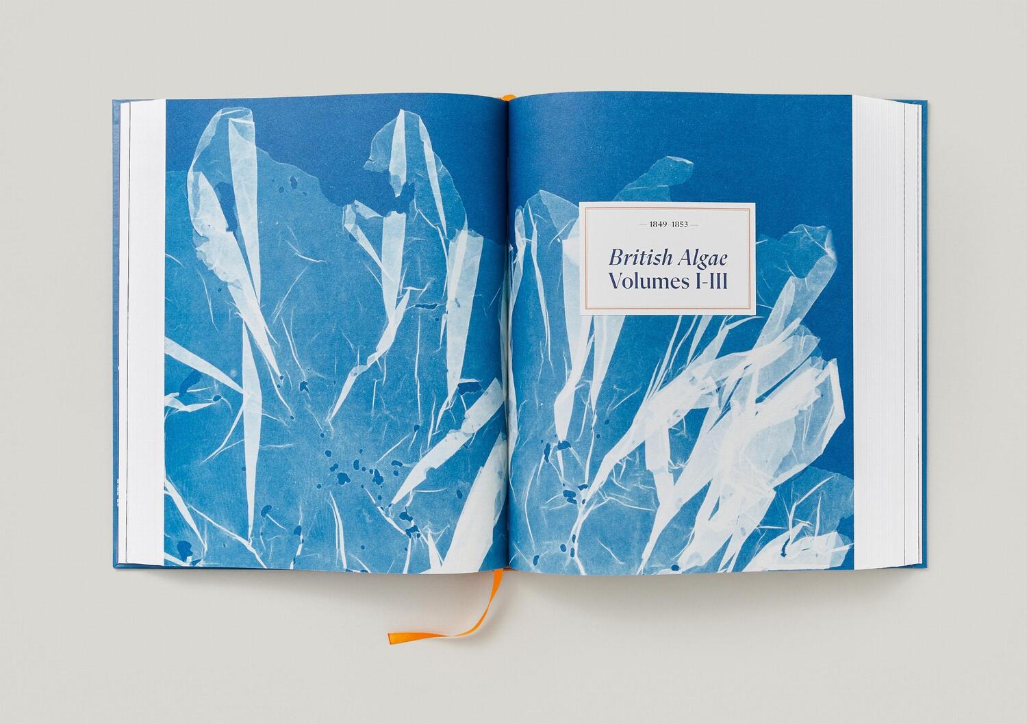 Bild: 9783836596039 | Anna Atkins. Cyanotypes | Peter Walther | Buch | Schuber | 660 S.