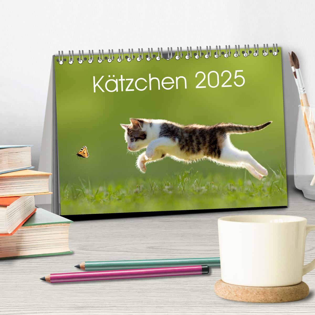 Bild: 9783435641116 | Kätzchen 2025 (Tischkalender 2025 DIN A5 quer), CALVENDO...