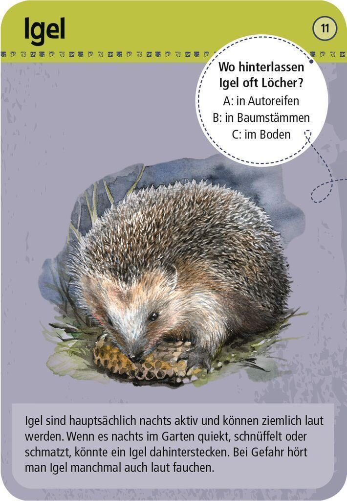 Bild: 4033477098658 | Exp Natur 50 Tiere der Nacht | erkennen &amp; bestimmen | Kessel | Spiel