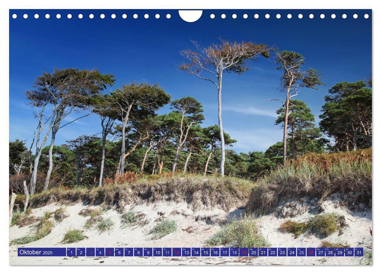 Bild: 9783435782390 | Weststrand Darß (Wandkalender 2025 DIN A4 quer), CALVENDO...