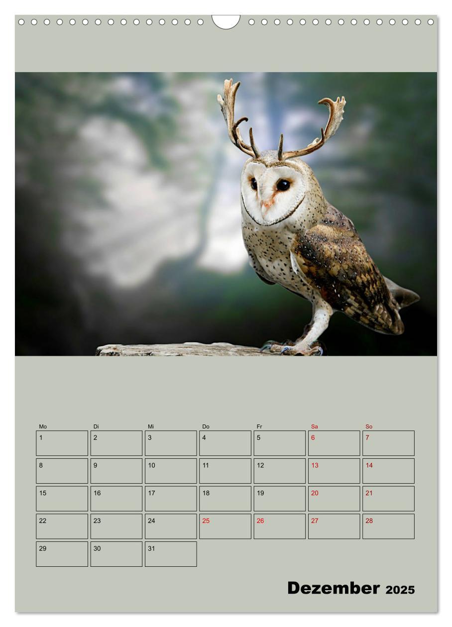 Bild: 9783435979189 | Seltsame Tiere - da stimmt doch was nicht... (Wandkalender 2025 DIN...