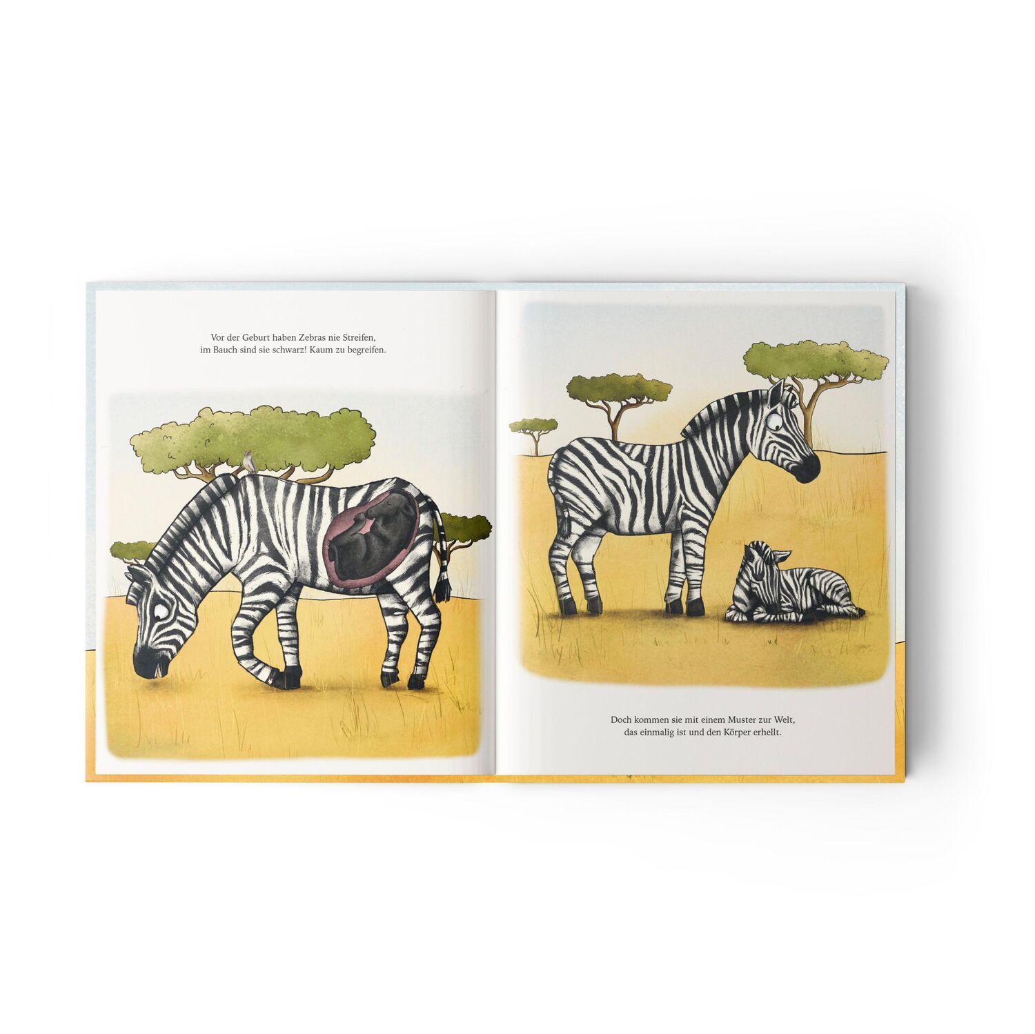 Bild: 9783949239151 | Noomi, das streifenlose Zebra | Sandra Hohenstein | Buch | 32 S.