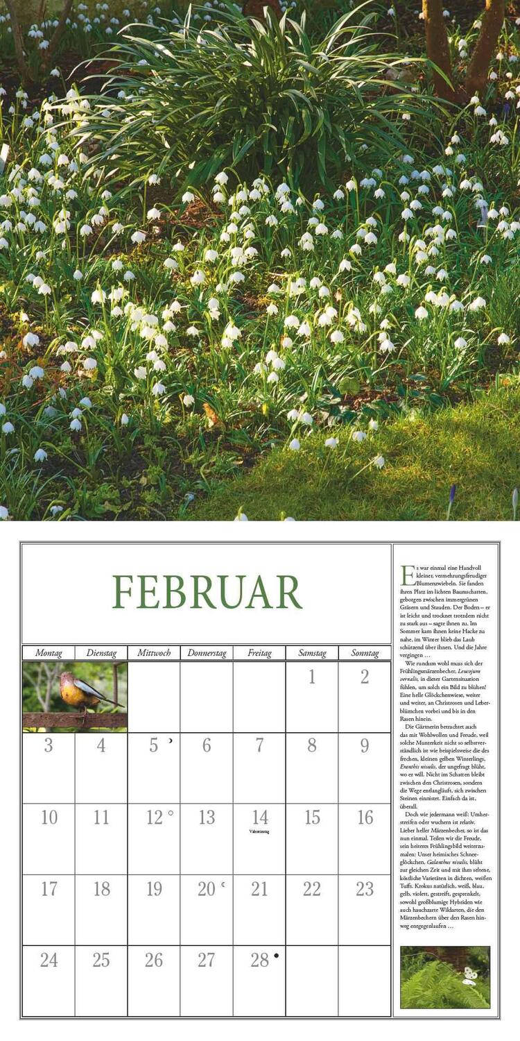 Bild: 4250809652825 | Freude im Garten 2025 ¿ Broschürenkalender ¿ mit informativen und...