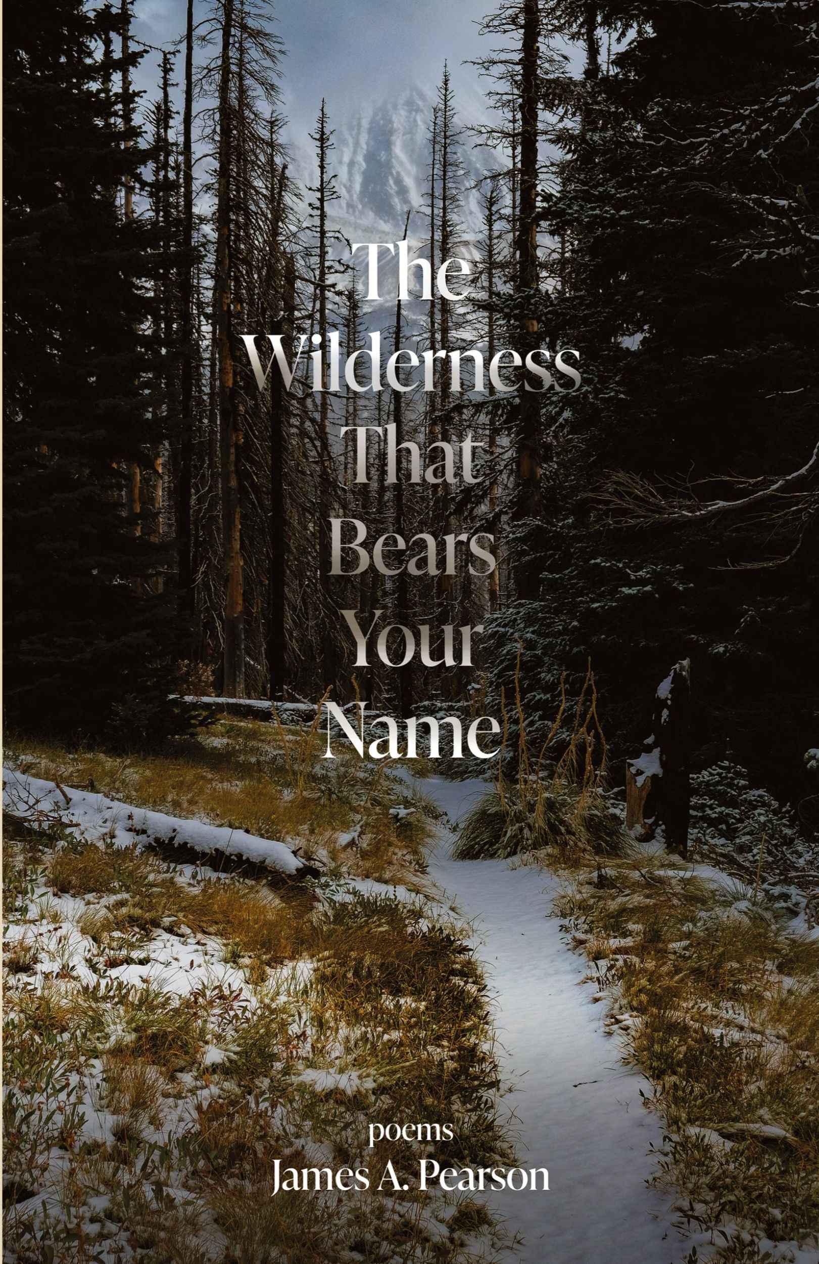 Cover: 9798990221000 | The Wilderness That Bears Your Name | James A Pearson | Taschenbuch