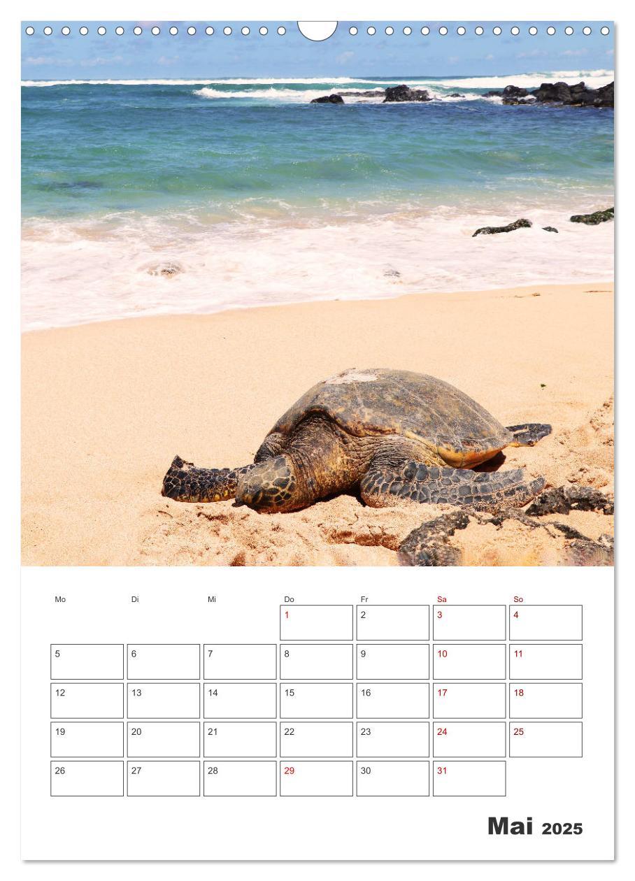 Bild: 9783435907953 | Hawaii - Reiseplaner (Wandkalender 2025 DIN A3 hoch), CALVENDO...