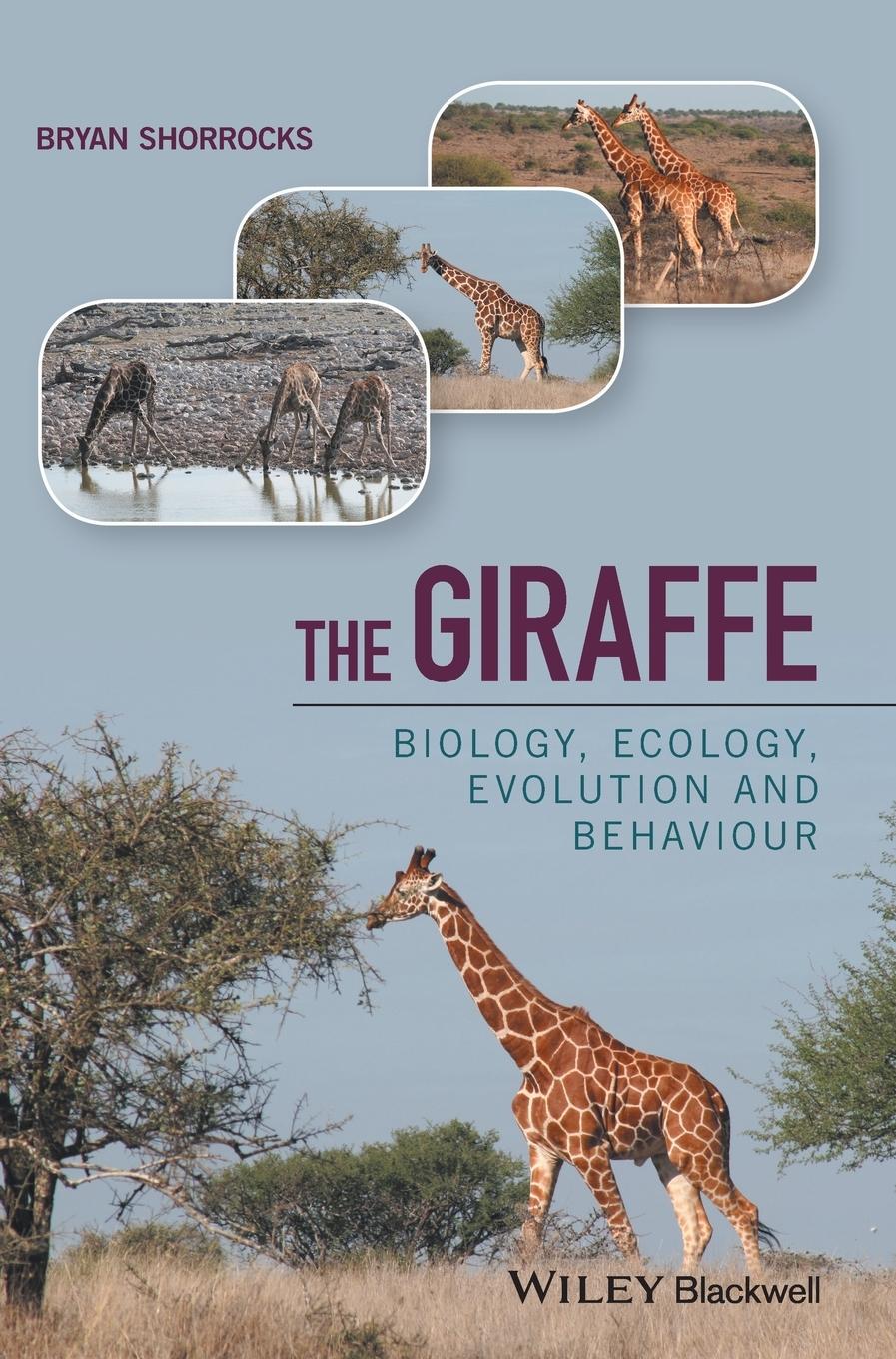 Cover: 9781118587478 | The Giraffe | Biology, Ecology, Evolution and Behaviour | Shorrocks