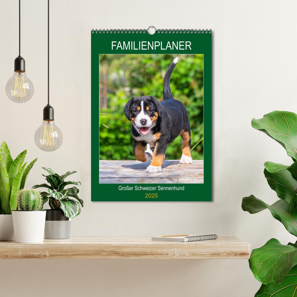 Bild: 9783435960057 | Familienplaner Großer Schweizer Sennenhund (Wandkalender 2025 DIN...