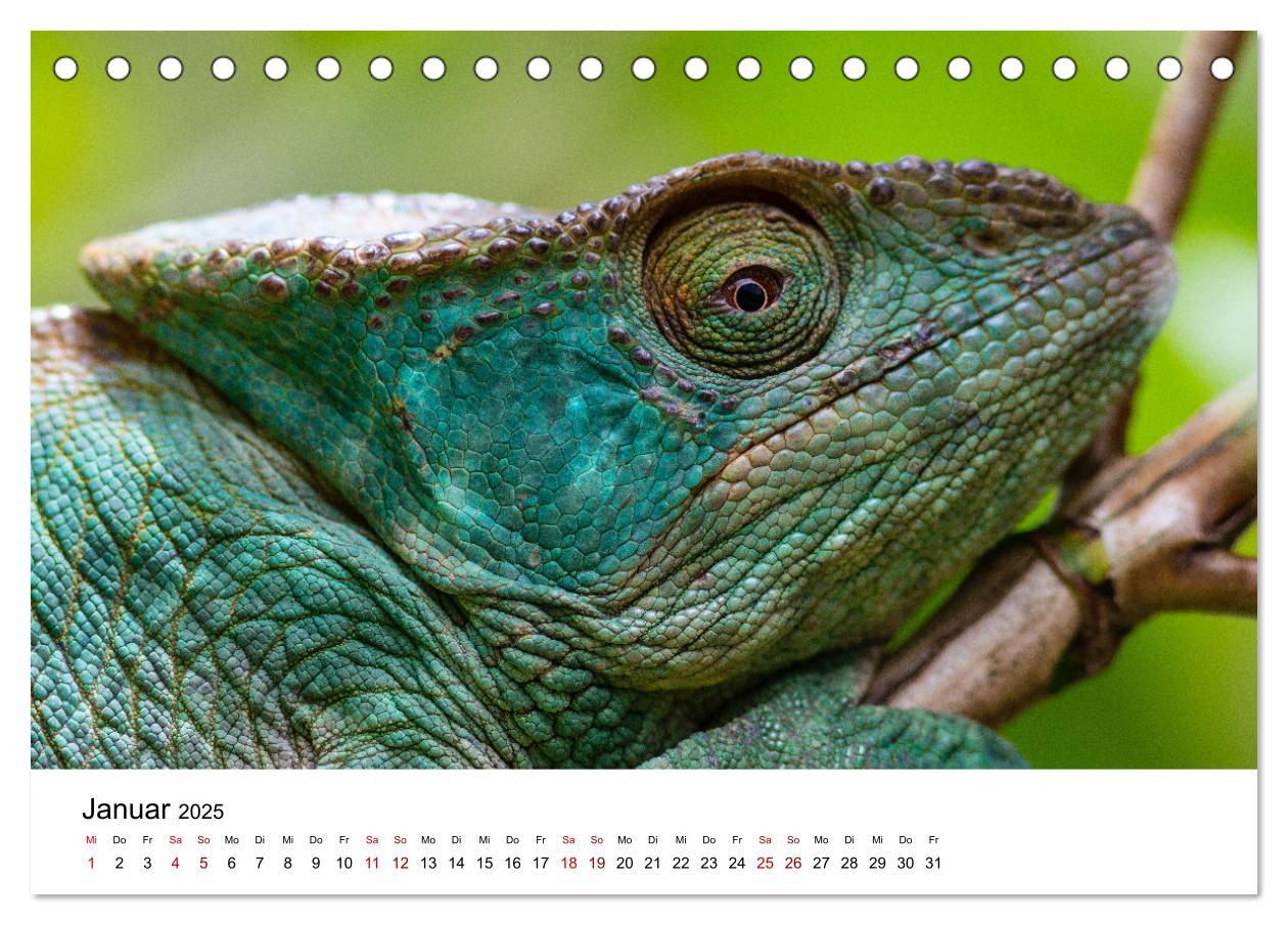 Bild: 9783383997129 | Naturparadies Madagaskar (Tischkalender 2025 DIN A5 quer), CALVENDO...