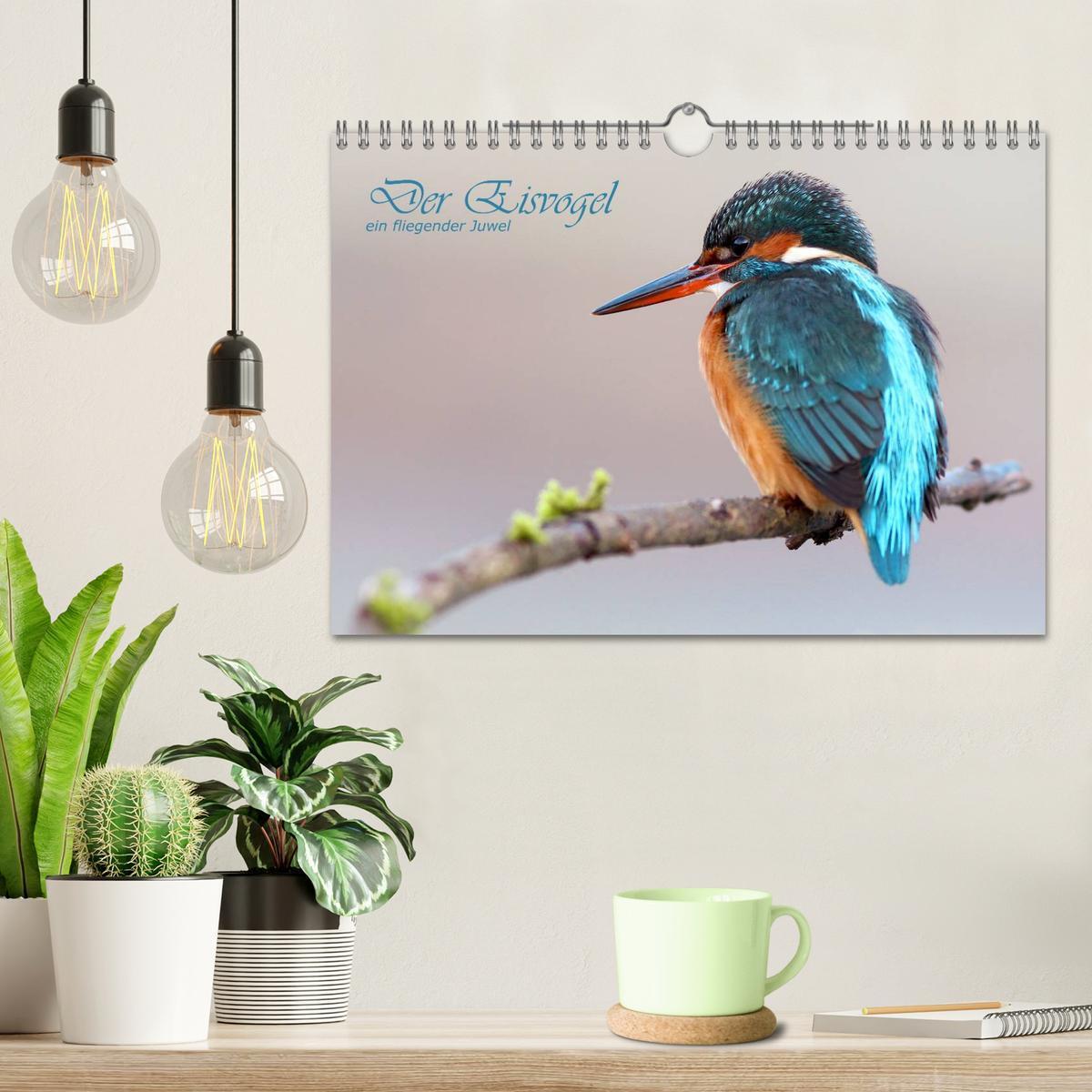 Bild: 9783435834440 | Der Eisvogel (Wandkalender 2025 DIN A4 quer), CALVENDO Monatskalender