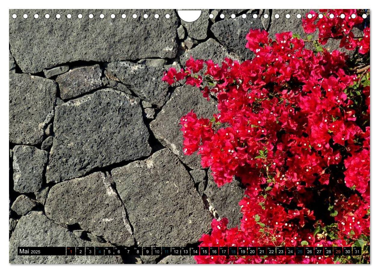 Bild: 9783435733118 | Vulkaninsel Lanzarote (Wandkalender 2025 DIN A4 quer), CALVENDO...