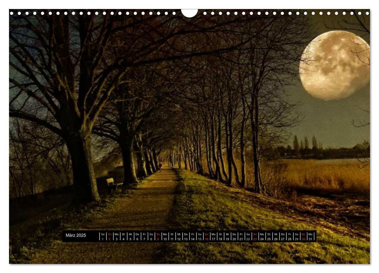 Bild: 9783435707508 | Sehnsucht der Natur (Wandkalender 2025 DIN A3 quer), CALVENDO...