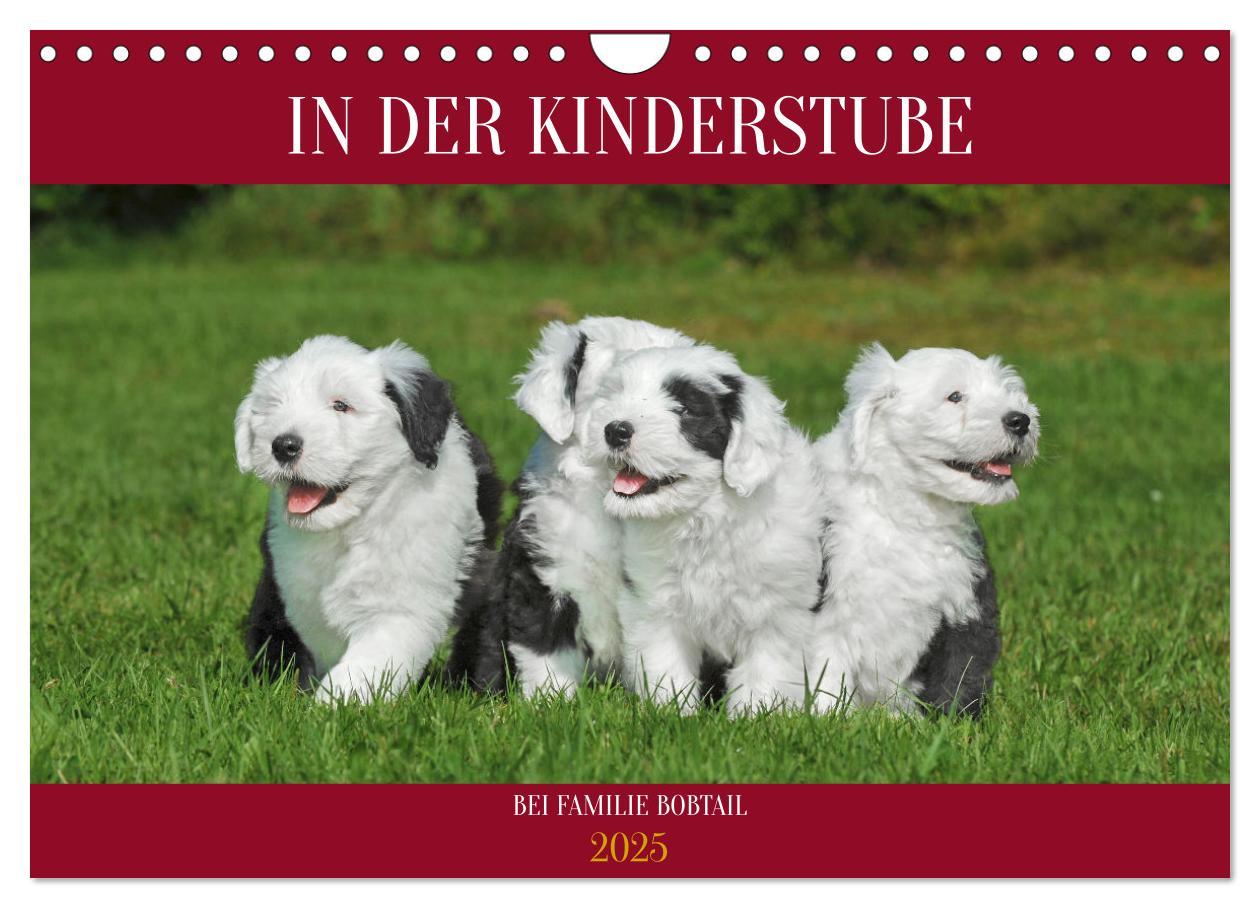 Cover: 9783457173305 | In der Kinderstube bei Familie Bobtail (Wandkalender 2025 DIN A4...