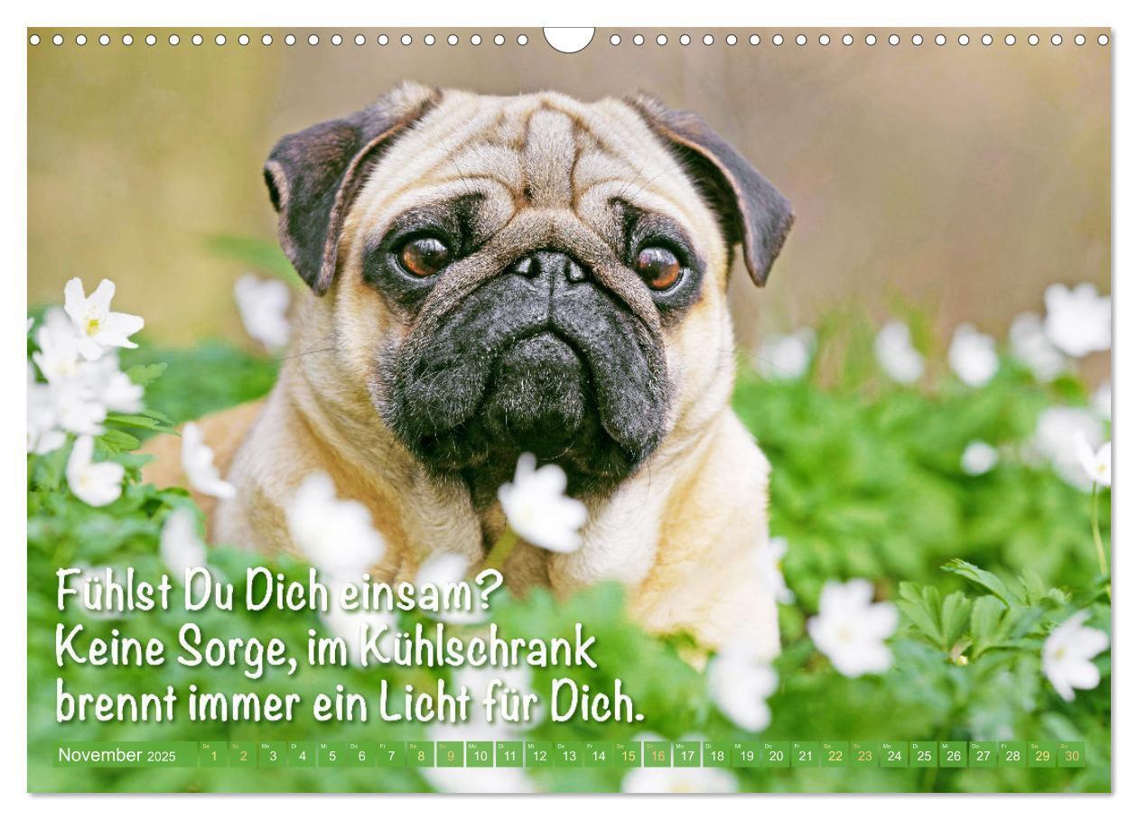 Bild: 9783435070022 | Der Mops: Nicht klein, sondern aufs Wesentliche reduziert. Edition...