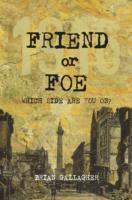 Cover: 9781847176318 | Friend or Foe | 1916: Which side are you on? | Brian Gallagher | Buch