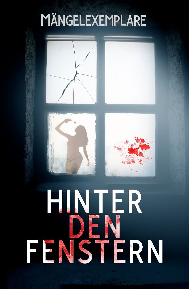 Cover: 9783958695344 | Mängelexemplare 5: Hinter den Fenstern | Vincent Voss (u. a.) | Buch