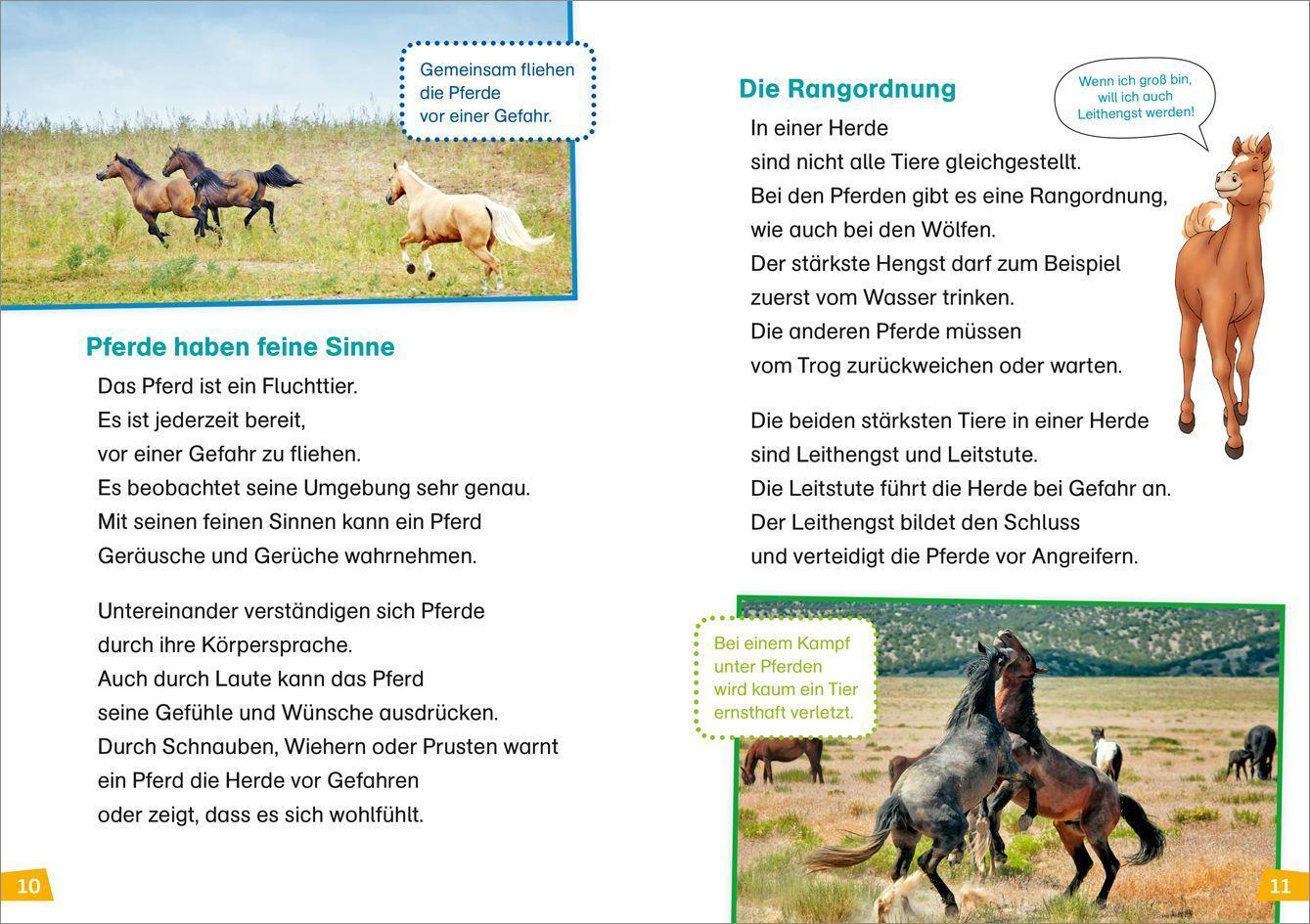 Bild: 9783788626440 | WAS IST WAS Erstes Lesen Band 7. Pferde und Ponys | Christina Braun