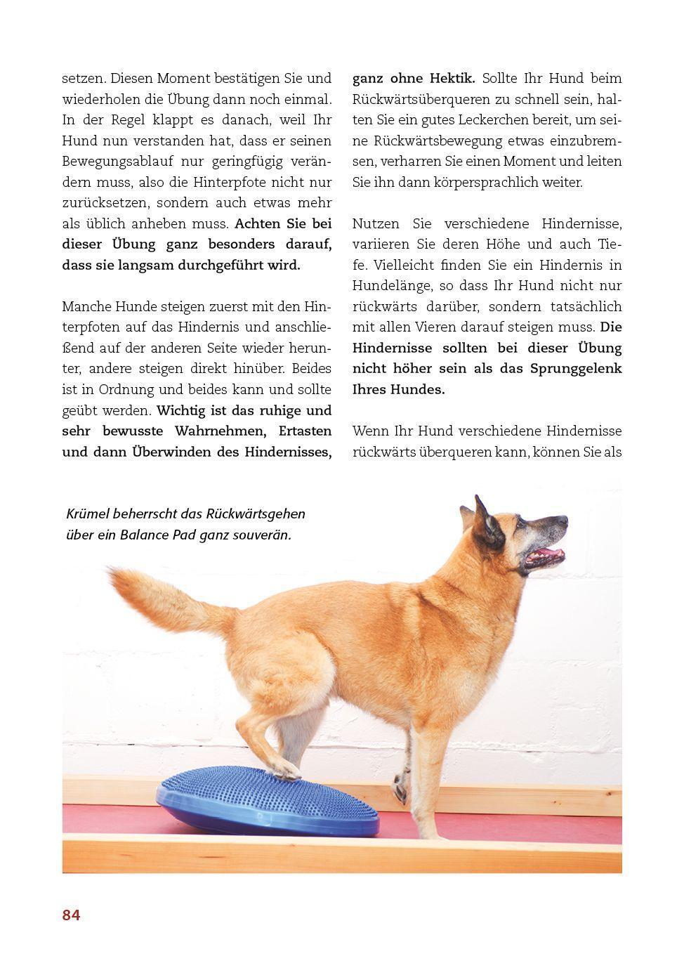 Bild: 9783936188752 | Körperarbeit mit dem Hund | Silke Stricker | Buch | 168 S. | Deutsch