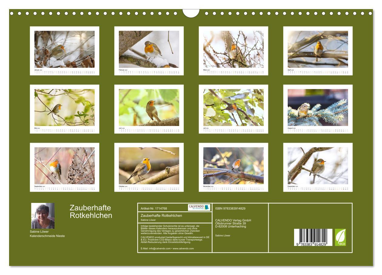 Bild: 9783383914829 | Zauberhafte Rotkehlchen (Wandkalender 2025 DIN A3 quer), CALVENDO...