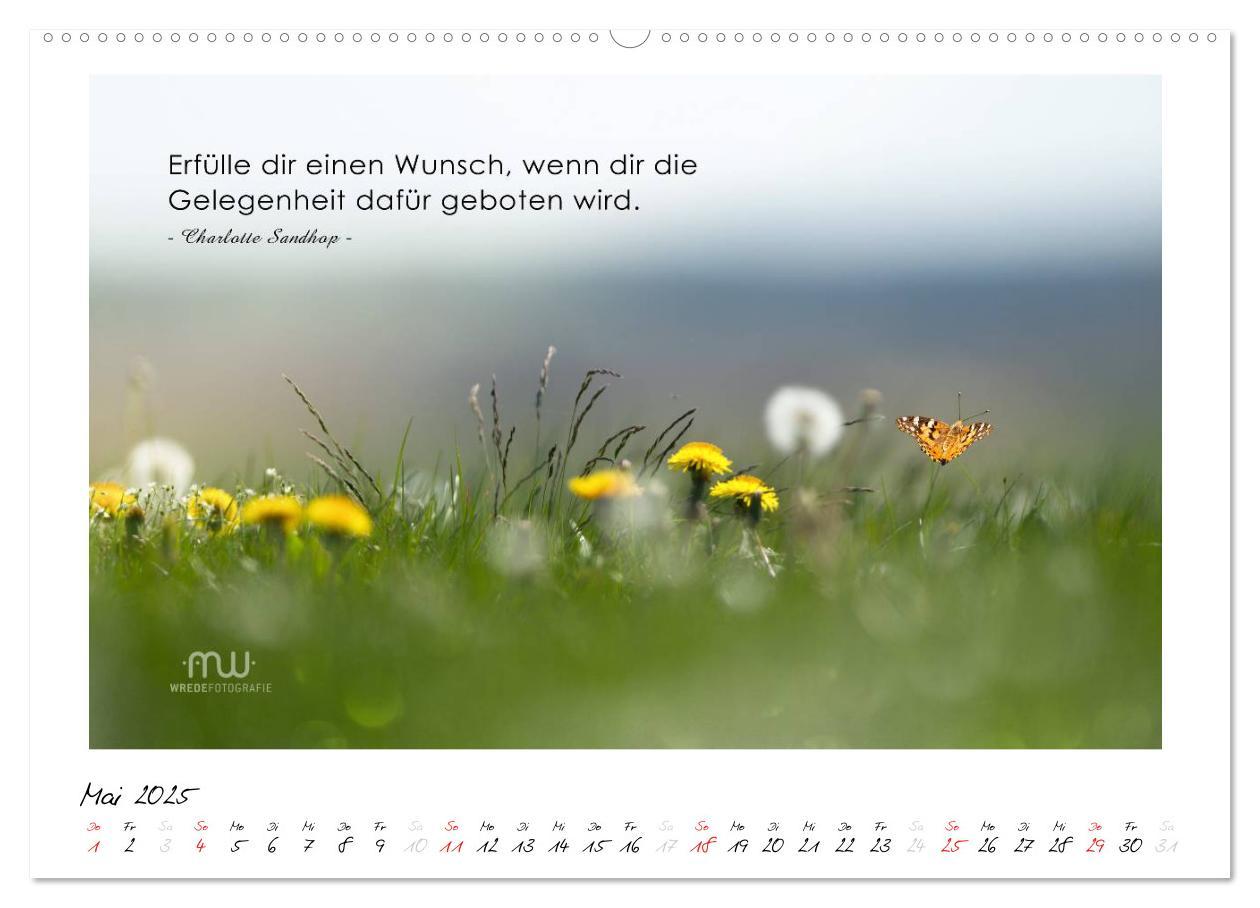 Bild: 9783435657629 | Gedanken... Bildkalender mit Sprüchen (Wandkalender 2025 DIN A2...