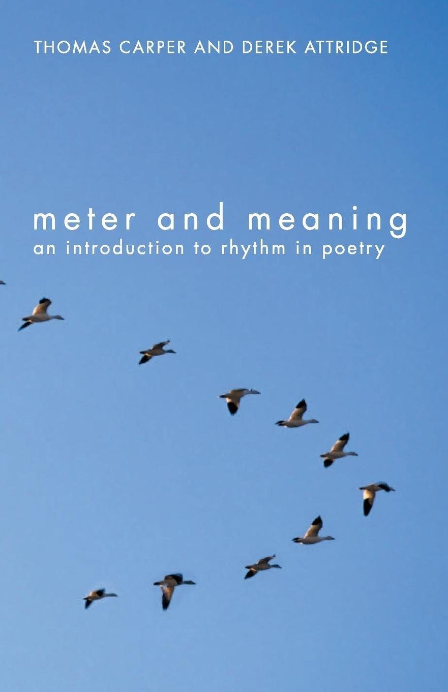 Cover: 9780415311755 | Meter and Meaning | An Introduction to Rhythm in Poetry | Taschenbuch