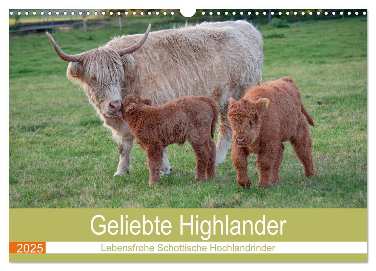 Cover: 9783435100903 | Geliebte Highlander (Wandkalender 2025 DIN A3 quer), CALVENDO...