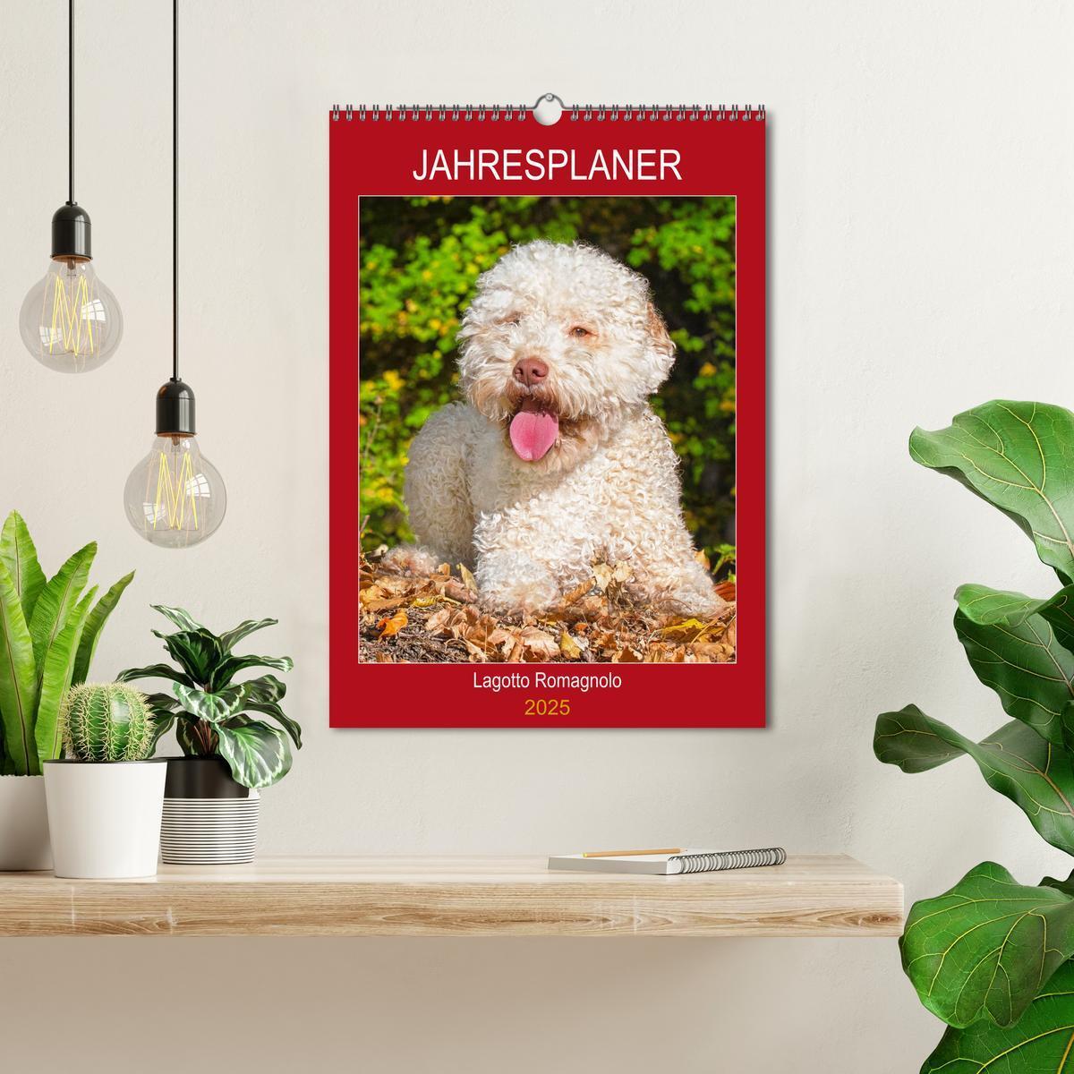 Bild: 9783435959013 | Jahresplaner Lagotto Romagnolo (Wandkalender 2025 DIN A3 hoch),...