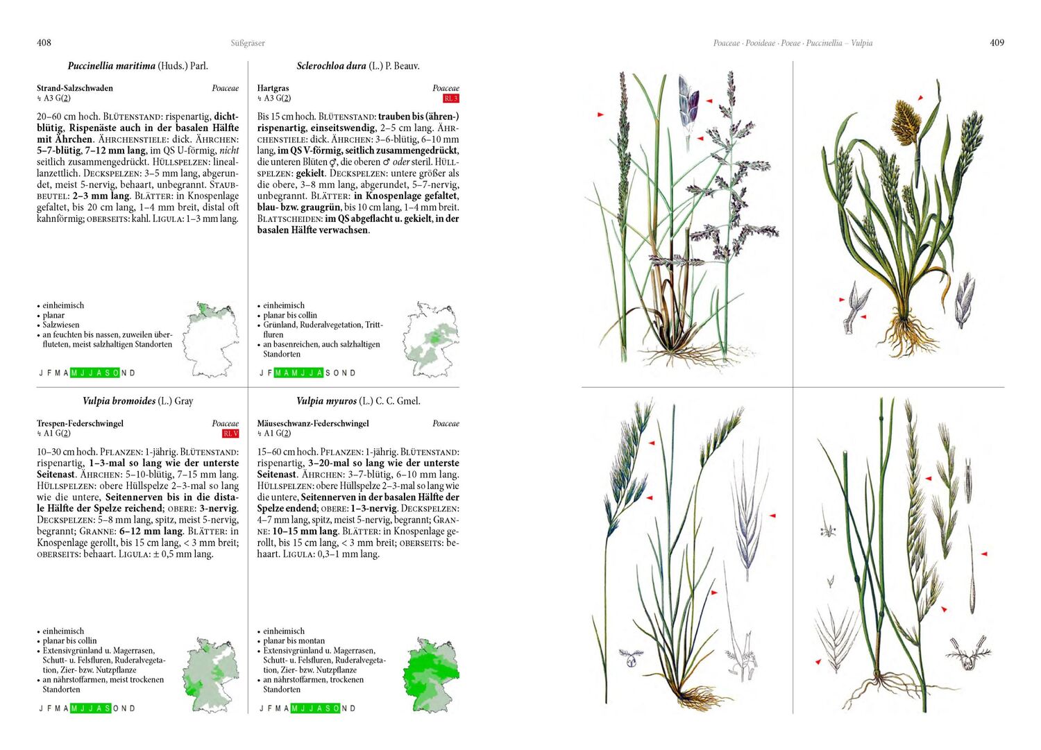 Bild: 9783968490649 | Die Flora von Deutschland. Alle heimischen Arten | Oliver Tackenberg