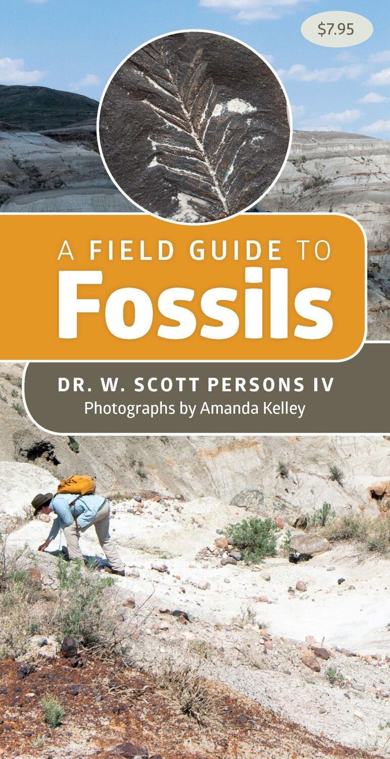 Cover: 9781550179101 | A Field Guide to Fossils | W. Scott Persons | Broschüre | Englisch