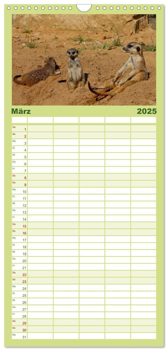 Bild: 9783457121375 | Familienplaner 2025 - Erdmännchen mit 5 Spalten (Wandkalender, 21 x...