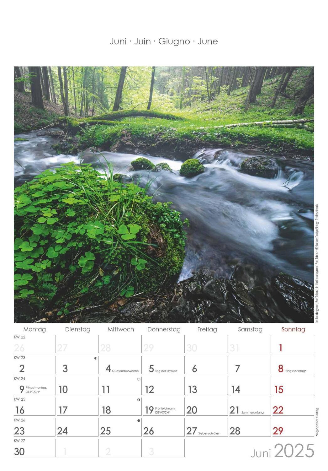 Bild: 4251732343361 | Thüringen 2025 - Bild-Kalender 23,7x34 cm - Regional-Kalender -...