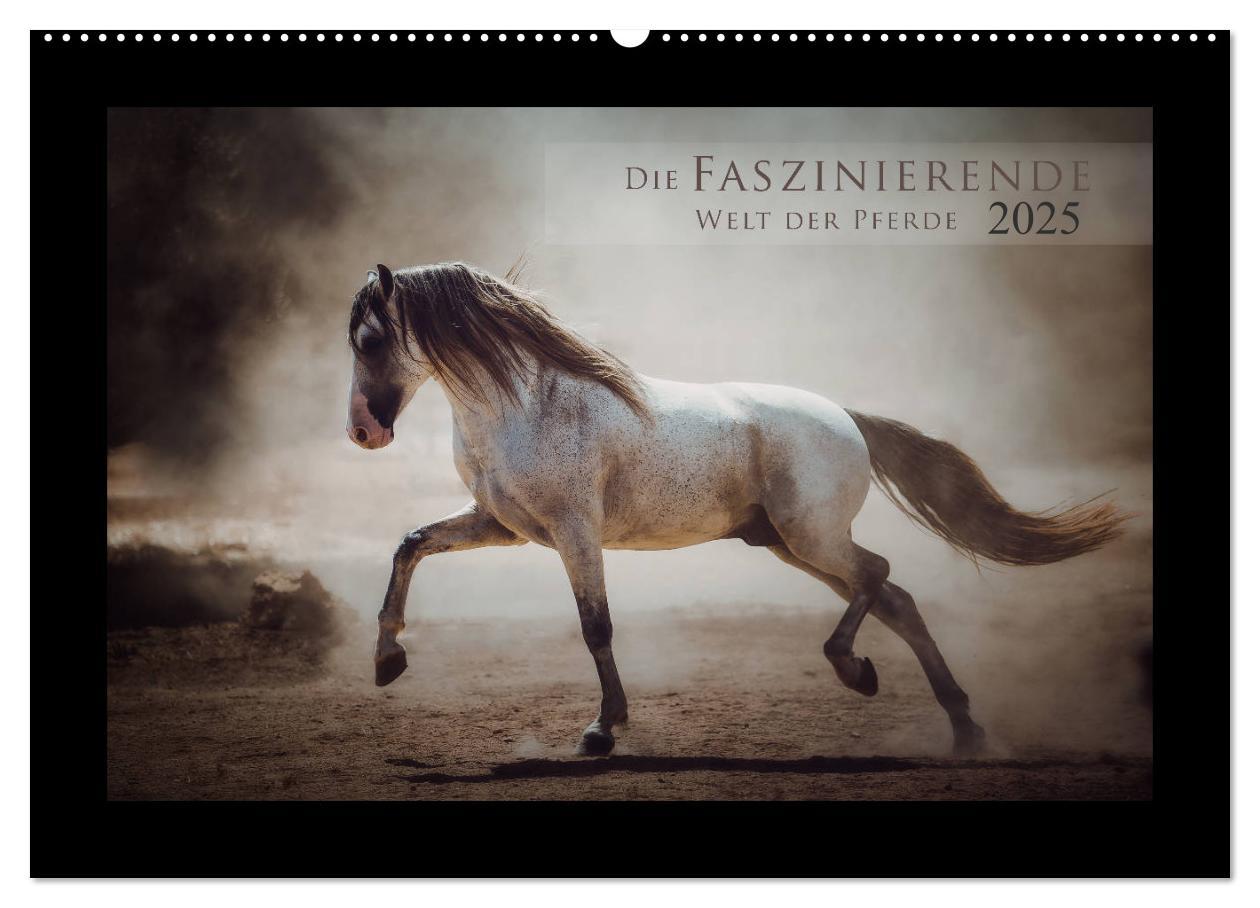 Cover: 9783435271597 | Die Faszinierende Welt der Pferde (Wandkalender 2025 DIN A2 quer),...