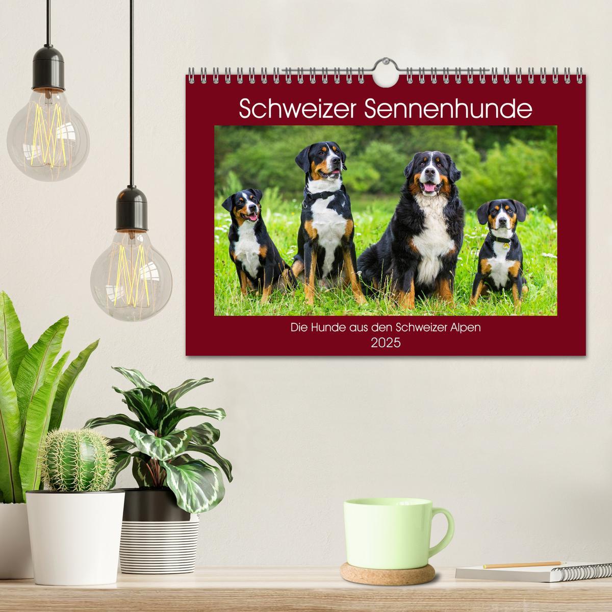 Bild: 9783435313495 | Schweizer Sennenhunde - die Hunde aus den Schweizer Alpen...