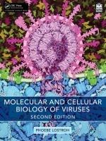 Cover: 9781032732121 | Molecular and Cellular Biology of Viruses | Phoebe Lostroh | Buch