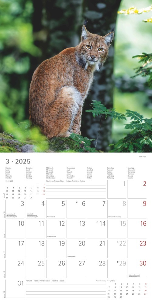 Bild: 4251732340803 | Alpha Edition - Wald &amp; Flur 2025 Broschürenkalender, 30x30cm,...