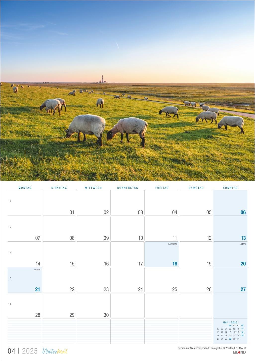 Bild: 9783964023506 | Waterkant Kalender 2025 | Eiland | Kalender | 13 S. | Deutsch | 2025