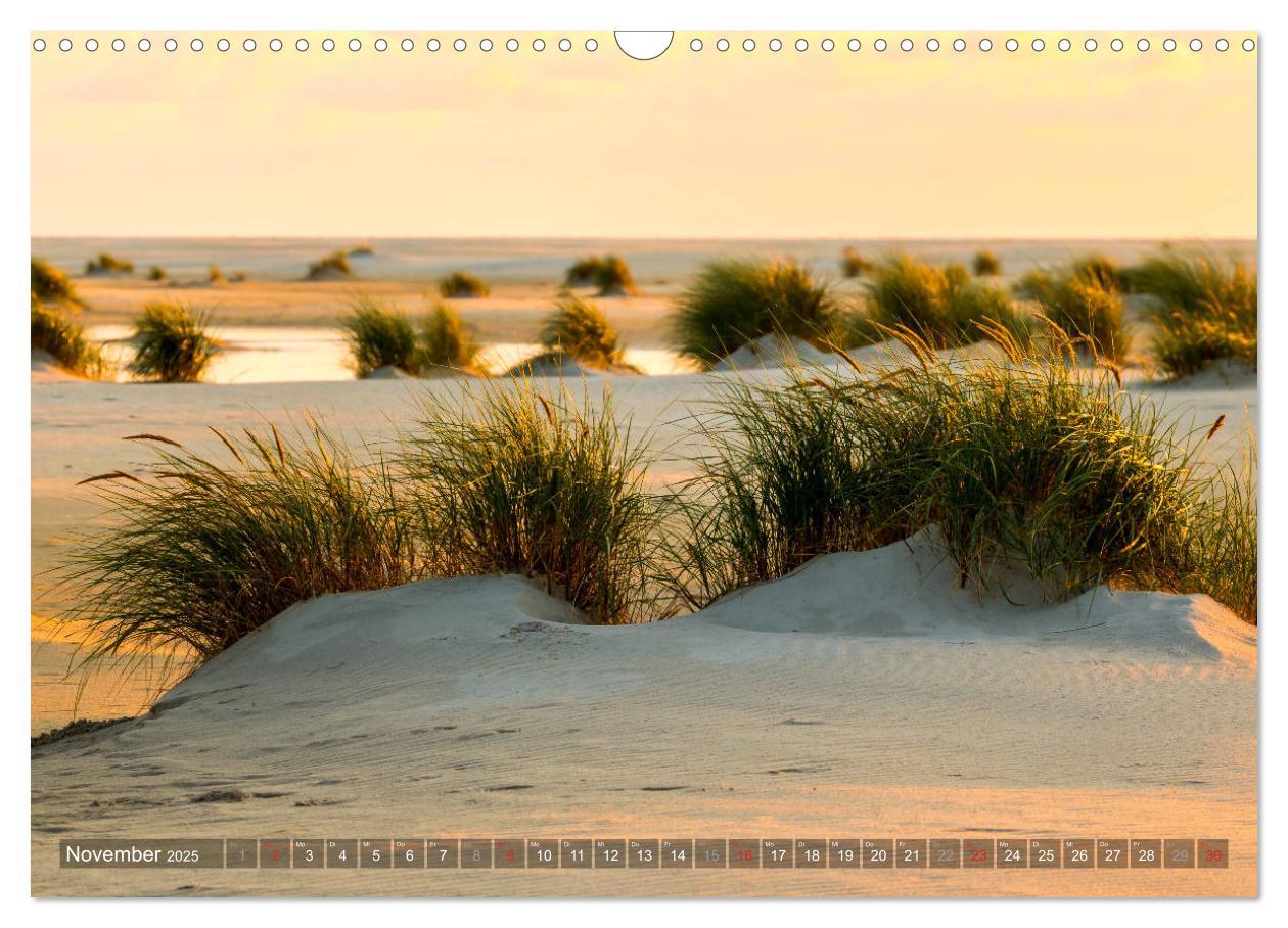 Bild: 9783435271429 | Amrum Insel am Wattenmeer (Wandkalender 2025 DIN A3 quer), CALVENDO...