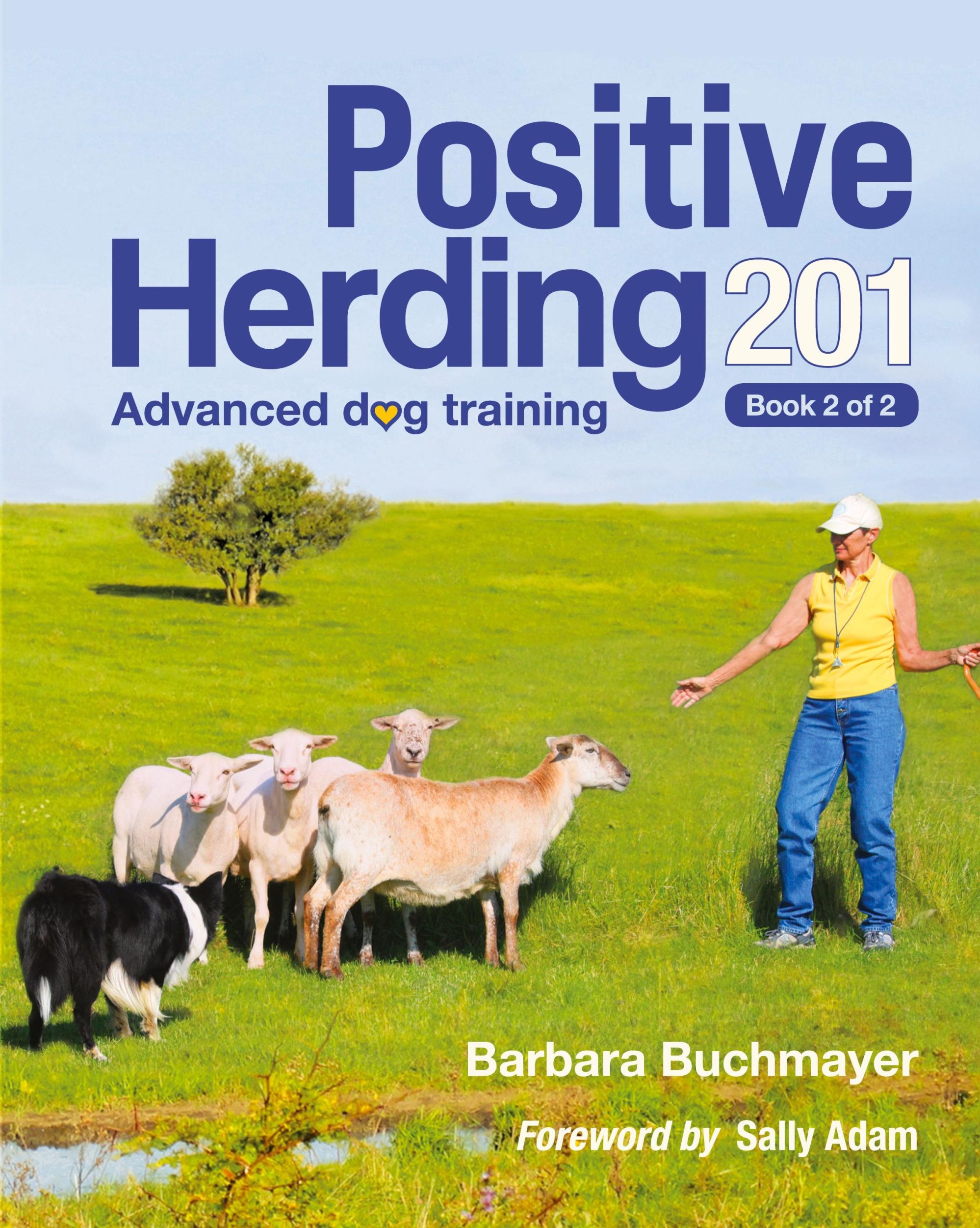 Cover: 9781736844342 | Positive Herding 201 | Barbara Buchmayer | Taschenbuch | Englisch