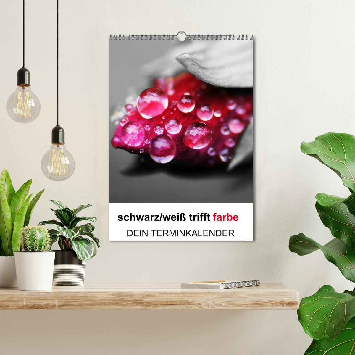 Bild: 9783457063644 | schwarz/weiß trifft farbe - DEIN TERMINKALENDER / Planer...