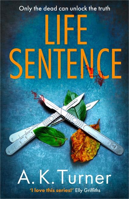 Cover: 9781838774783 | Life Sentence | A. K. Turner | Taschenbuch | Englisch | 2022