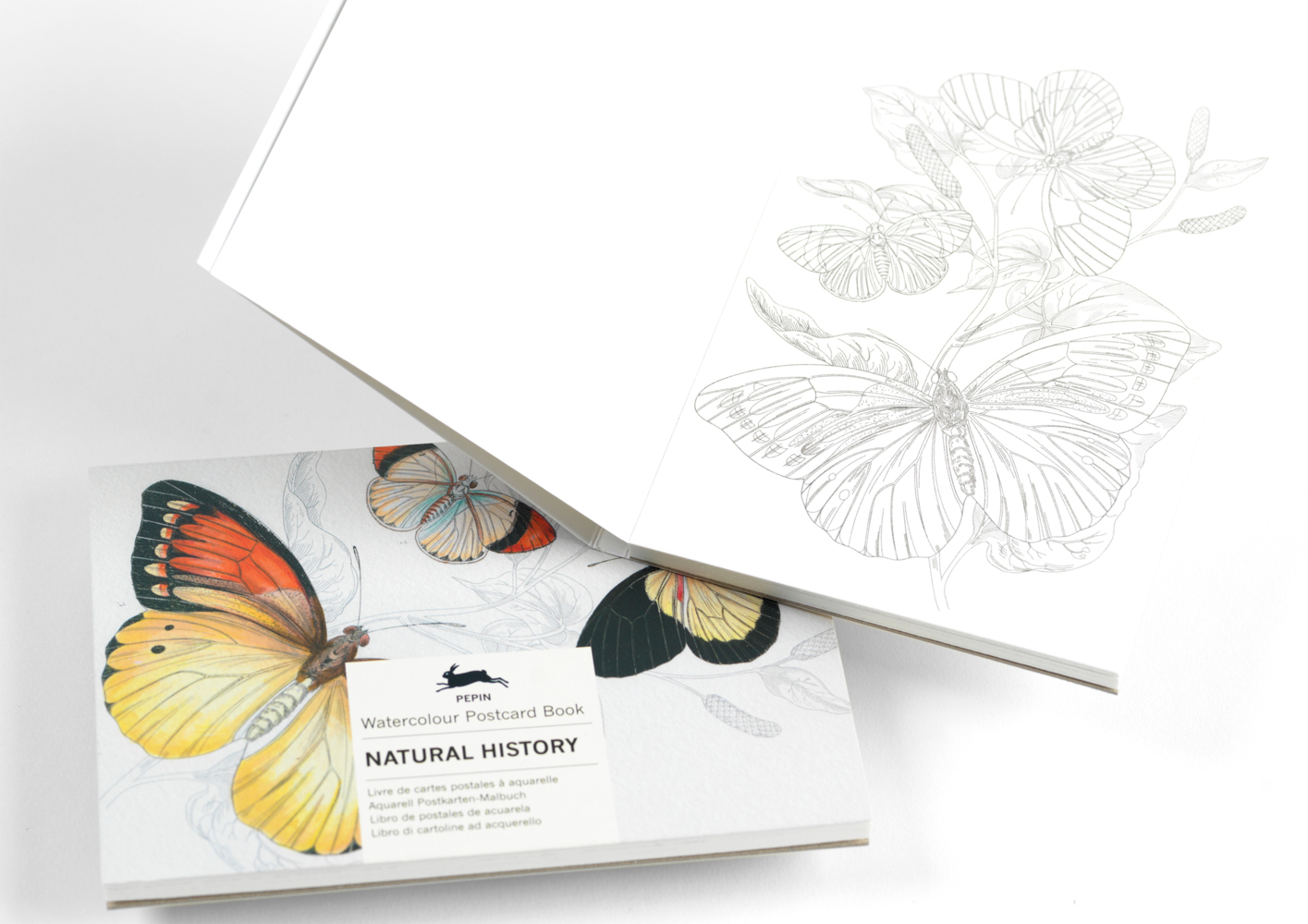 Bild: 9789460096365 | Natural History | Watercolour Postcard Book / Postkarten - Malbuch