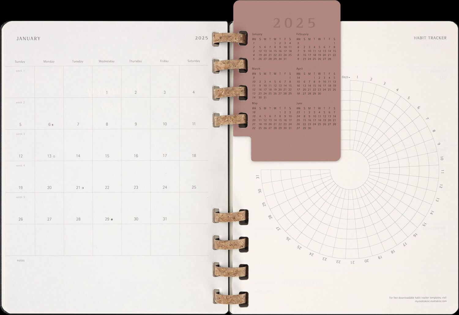 Bild: 8056999271503 | Moleskine 12 Monats Life Kalender mit Spiralbindung 2025, XL,...