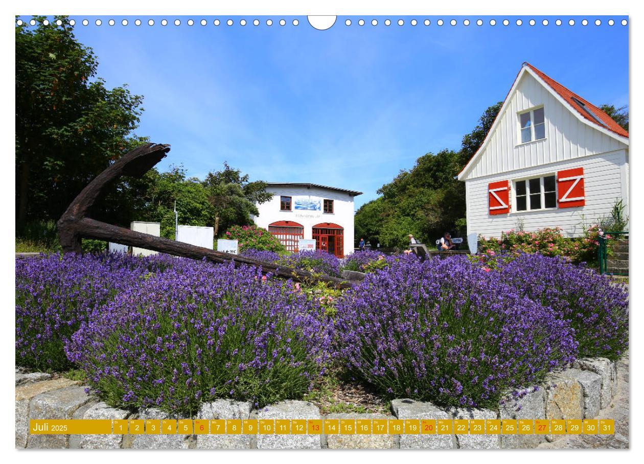 Bild: 9783435265312 | Insel Hiddensee - Stimmungen und Sehnsüchte (Wandkalender 2025 DIN...