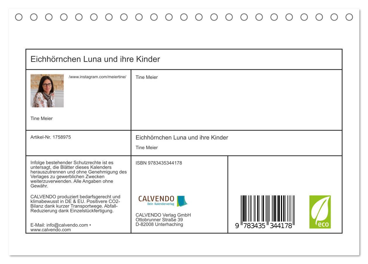 Bild: 9783435344178 | Eichhörnchen Luna und ihre Kinder (Tischkalender 2025 DIN A5 quer),...