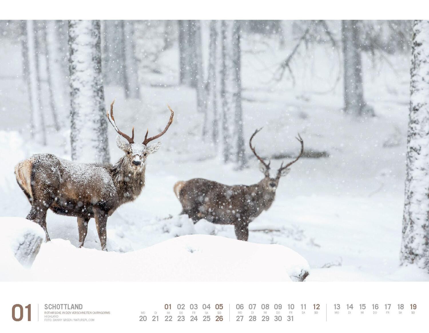 Bild: 9783838425436 | Schottland - Unterwegs zwischen Highlands und Hebriden Kalender 2025